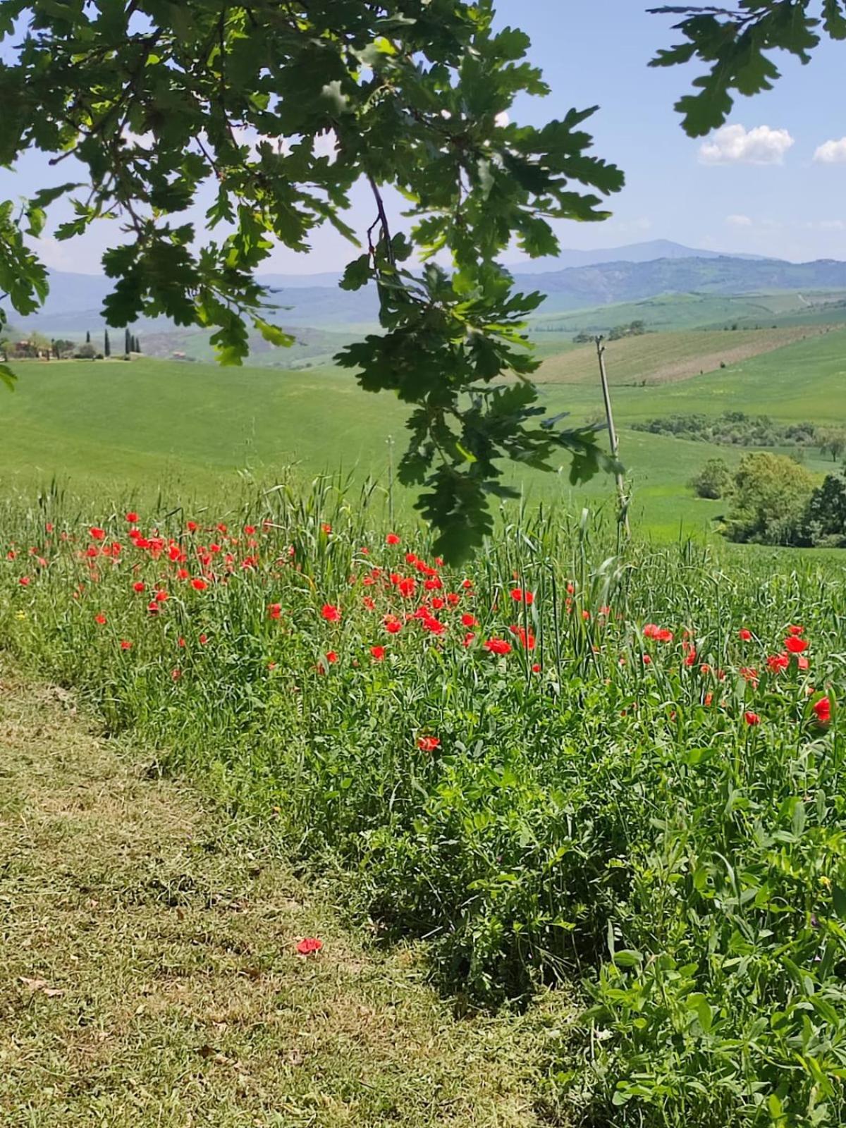 Agriturismo Il Pozzo Кастільйоне-д'Орчія Екстер'єр фото